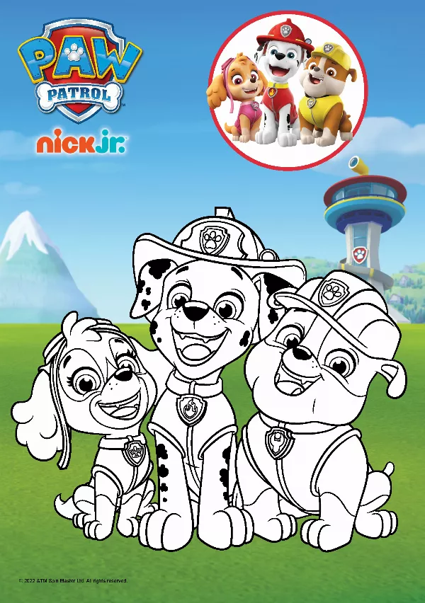 PAW Patrol Colouring Sheet 5